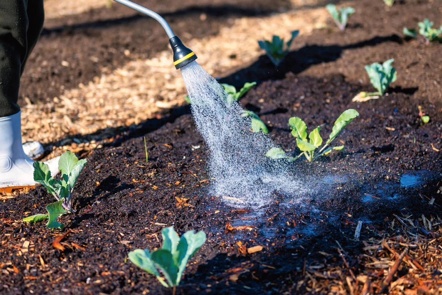 Produtos químicos são usados na indústria agrícola