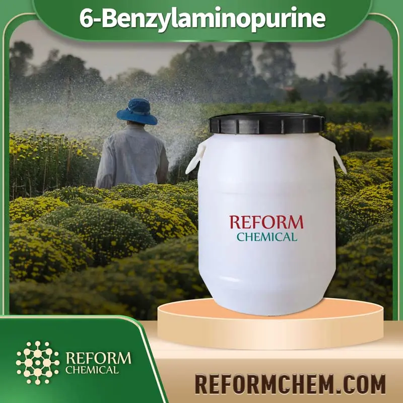 6 benzylaminopurine