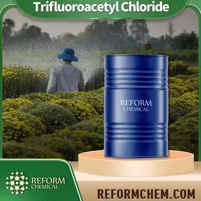 Cloreto de trifluoroacetila