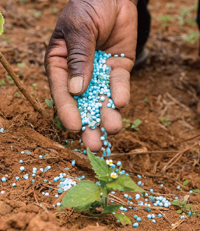 Produtos químicos são usados na indústria agrícola