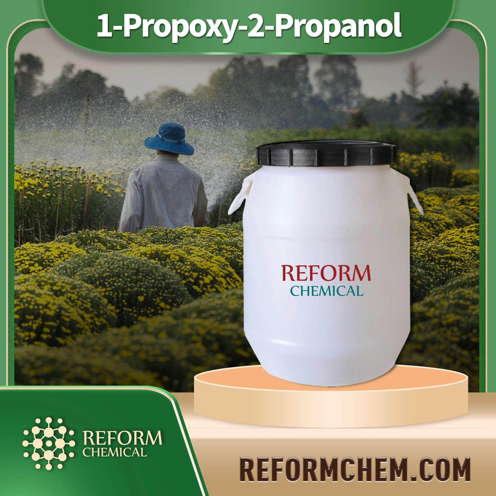 1-PROPOXA-2-PROPANOL