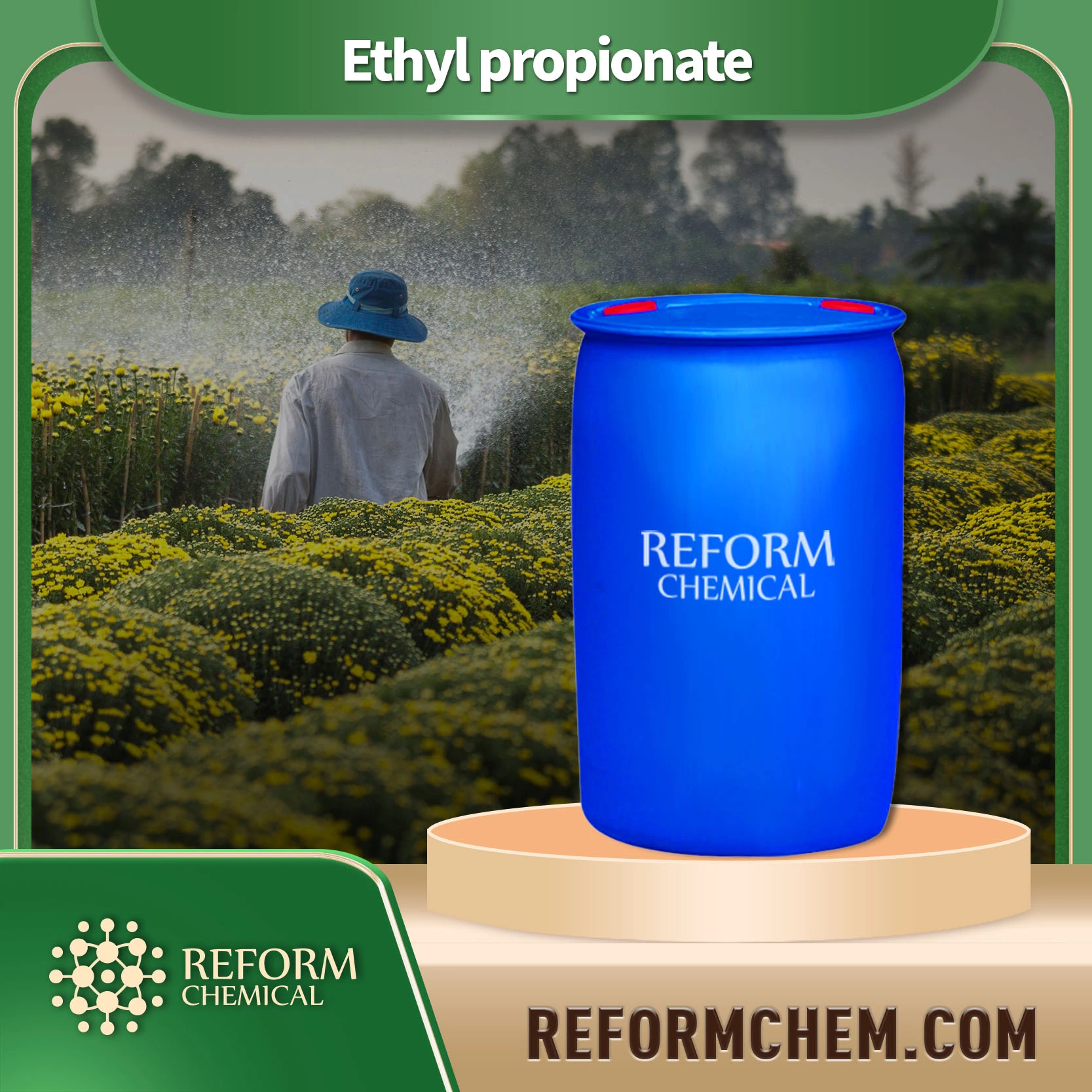 ethyl propionate105 37 3