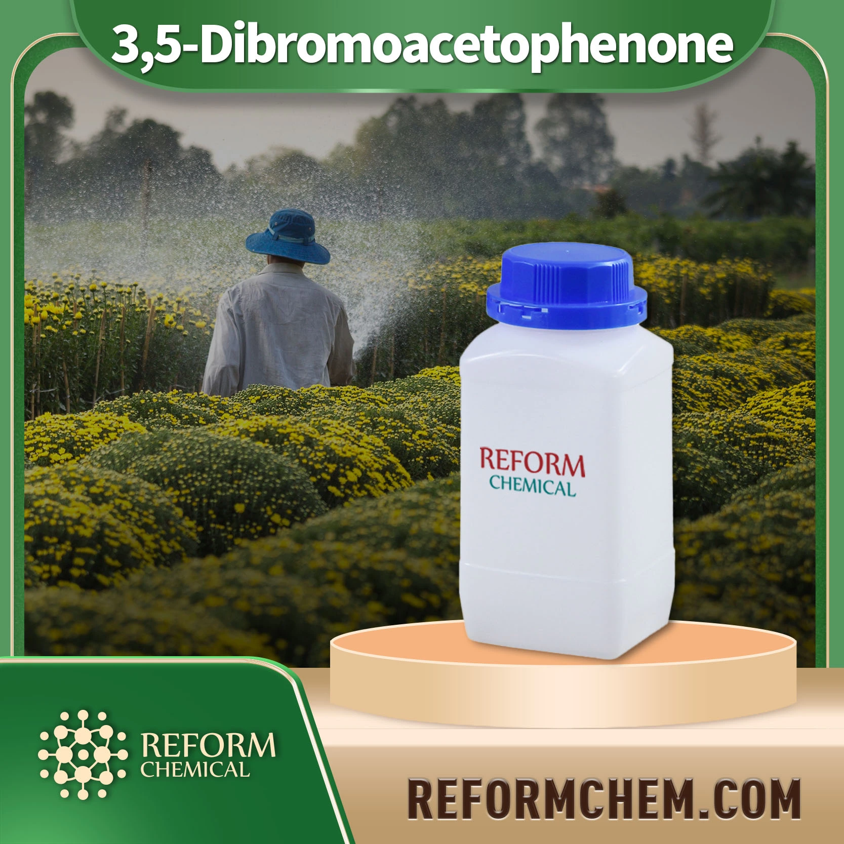 3,5-Dibromoacetofenona