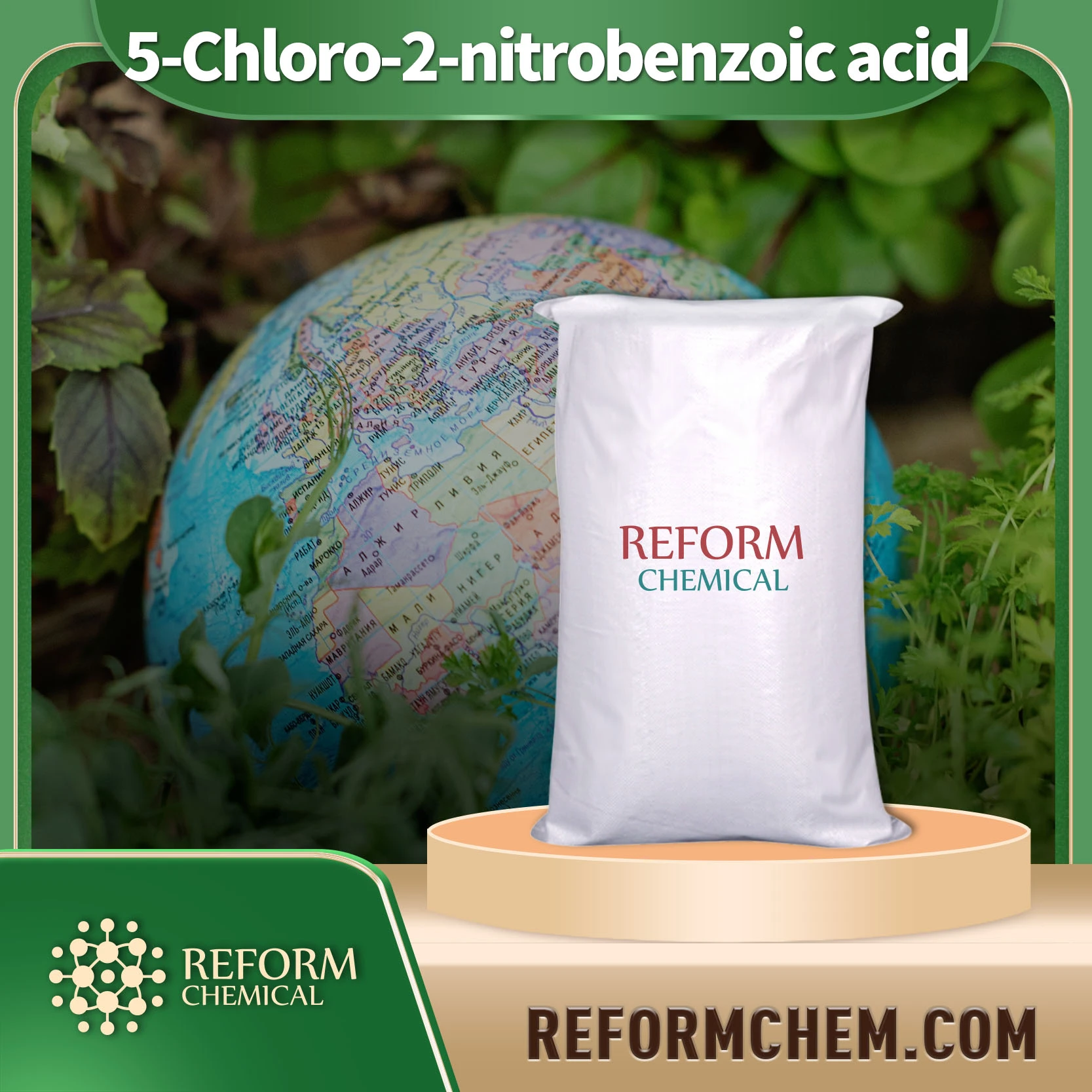 5 chloro 2 nitrobenzoic acid 2516 95 2